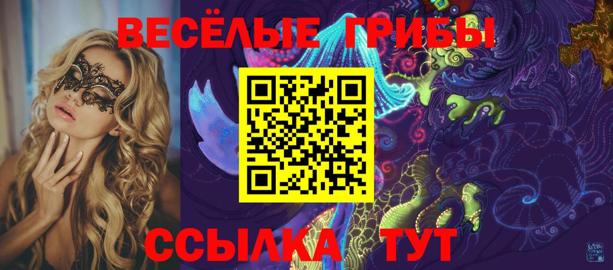 Псилоцибиновые грибы GOLDEN TEACHER  Вход с VPN  Бугуруслан  Псилоцибиновые грибы Psilocybe 