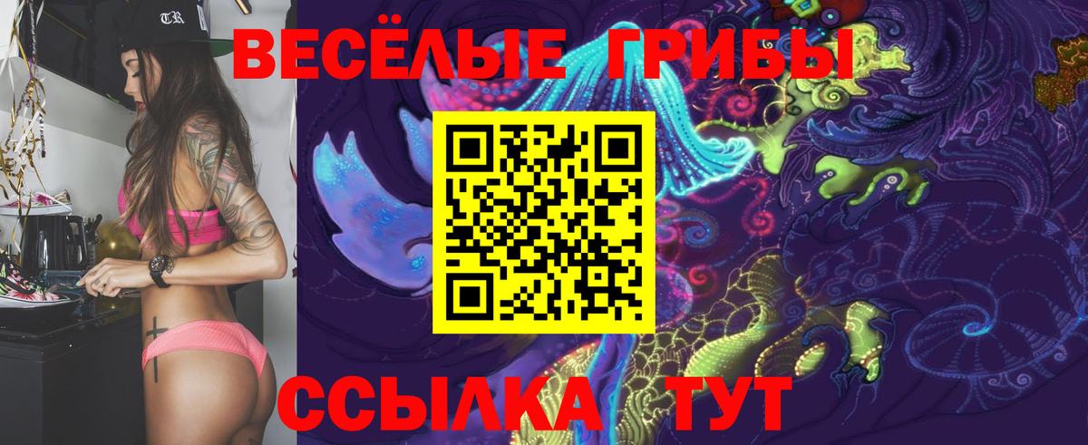 Псилоцибиновые грибы мицелий Бугуруслан